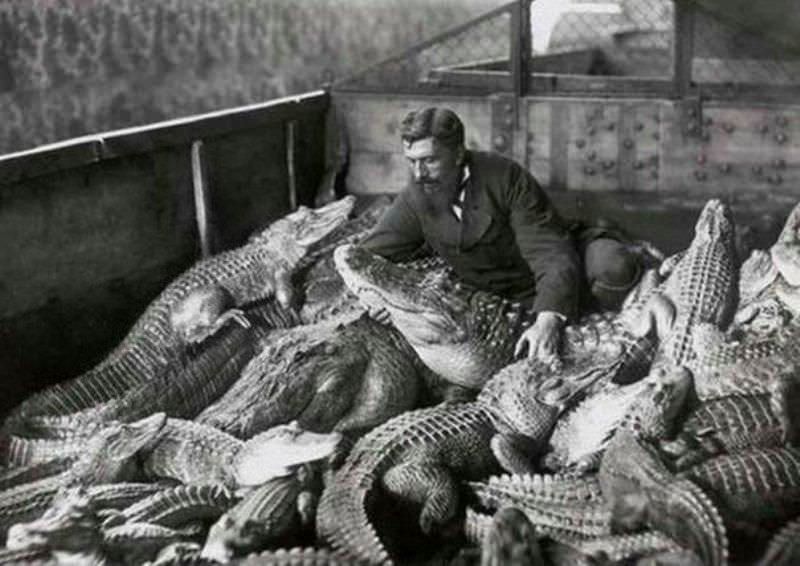 People Casually hanging Out With Alligators In The Past