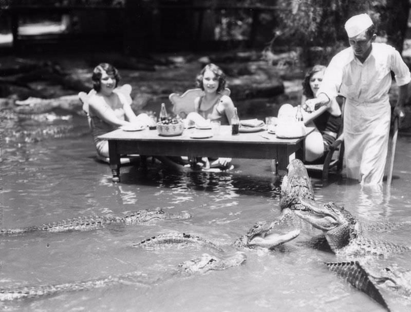 People Casually hanging Out With Alligators In The Past