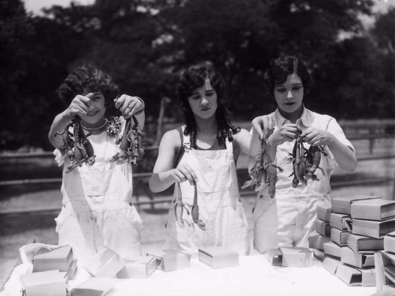 People Casually hanging Out With Alligators In The Past