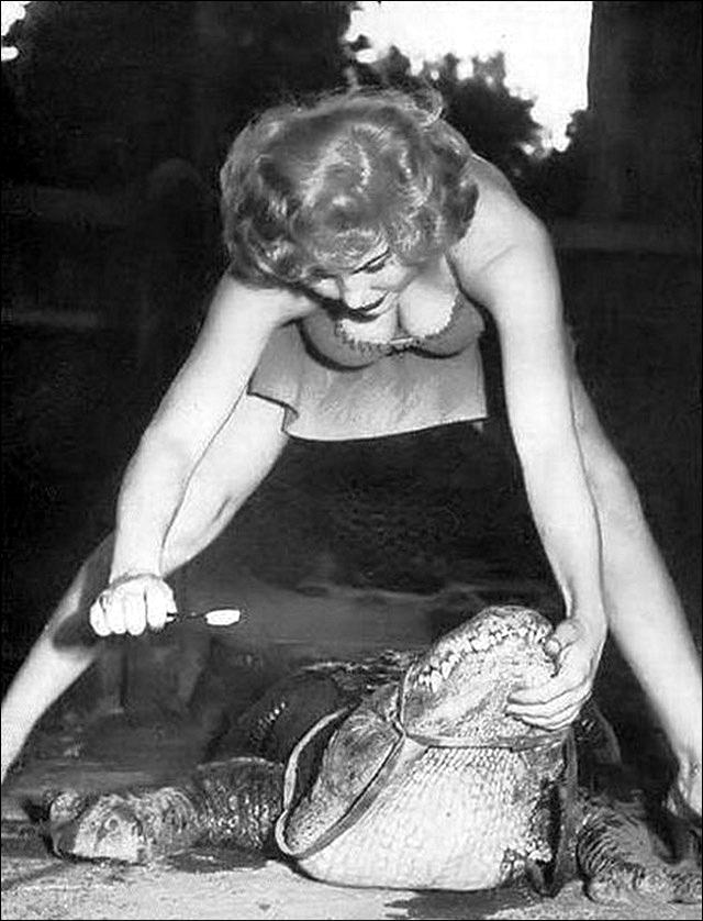 People Casually hanging Out With Alligators In The Past