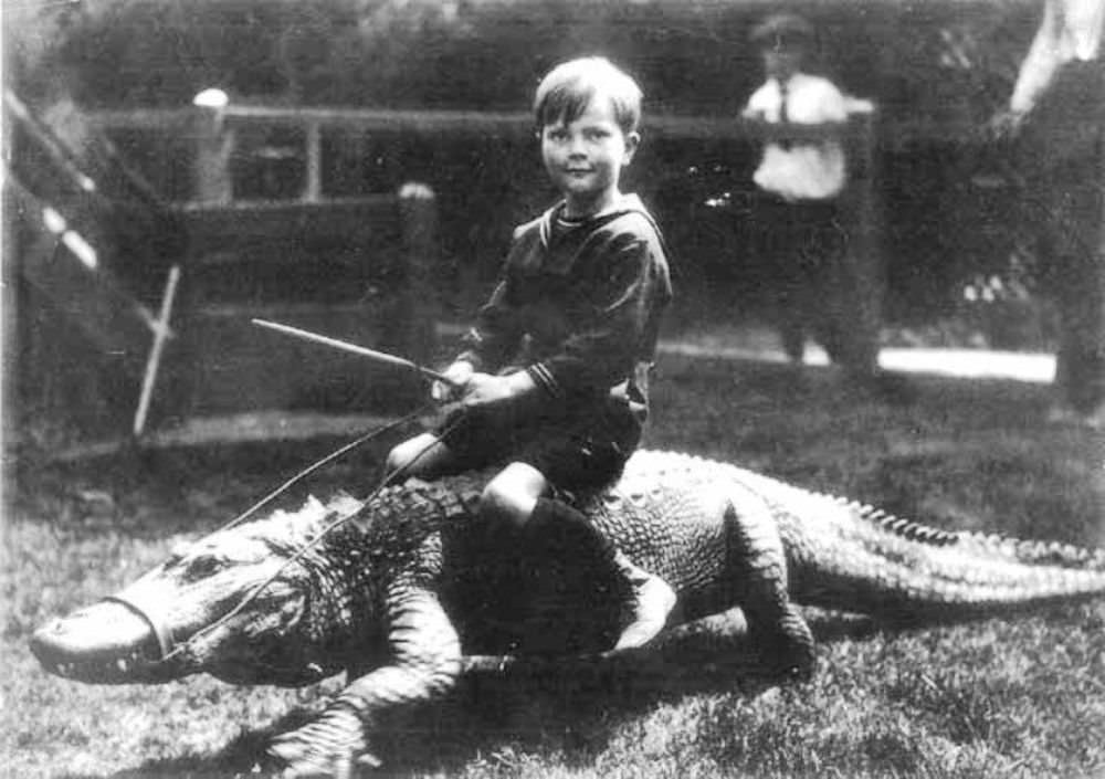 People Casually hanging Out With Alligators In The Past