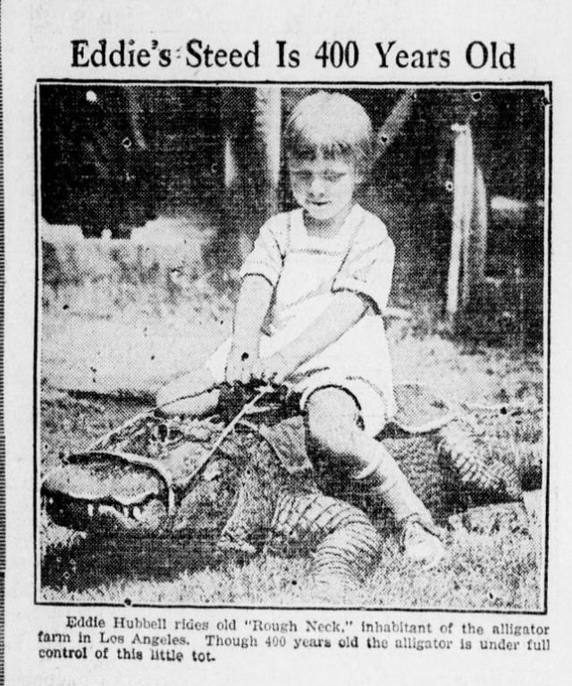 People Casually hanging Out With Alligators In The Past