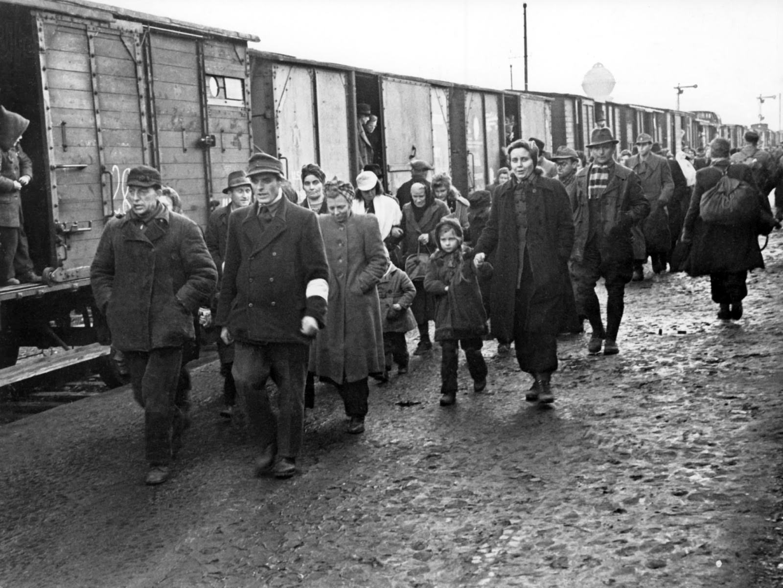 An attendant with white brassard (front, r) accompanies newly arrived refugees, in January 1946, through the refugee camp in Bebra, Germany.