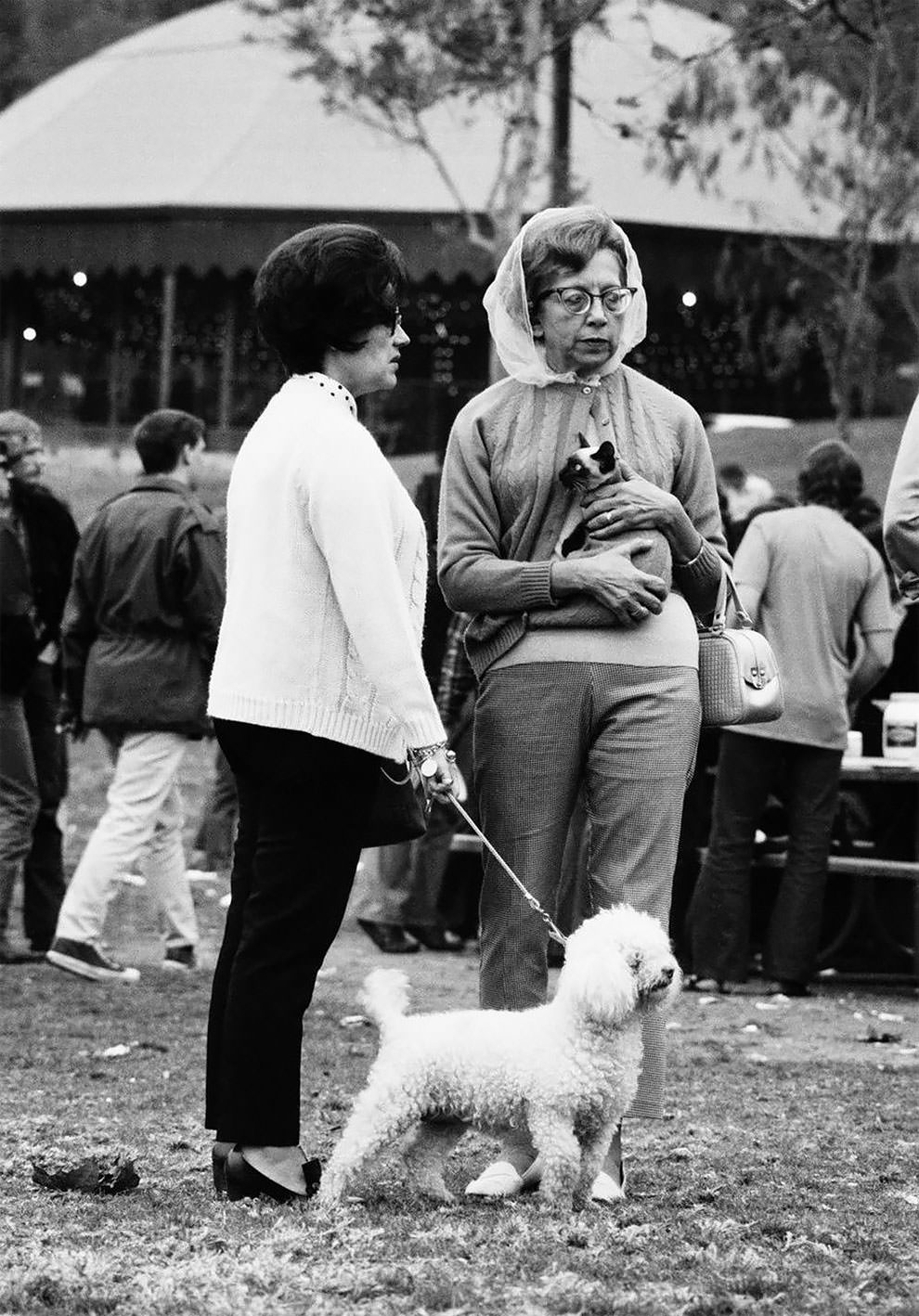 Skaters And Punkers: 50+ Stunning Photos Capturing Californian Youth From 1970s-80s