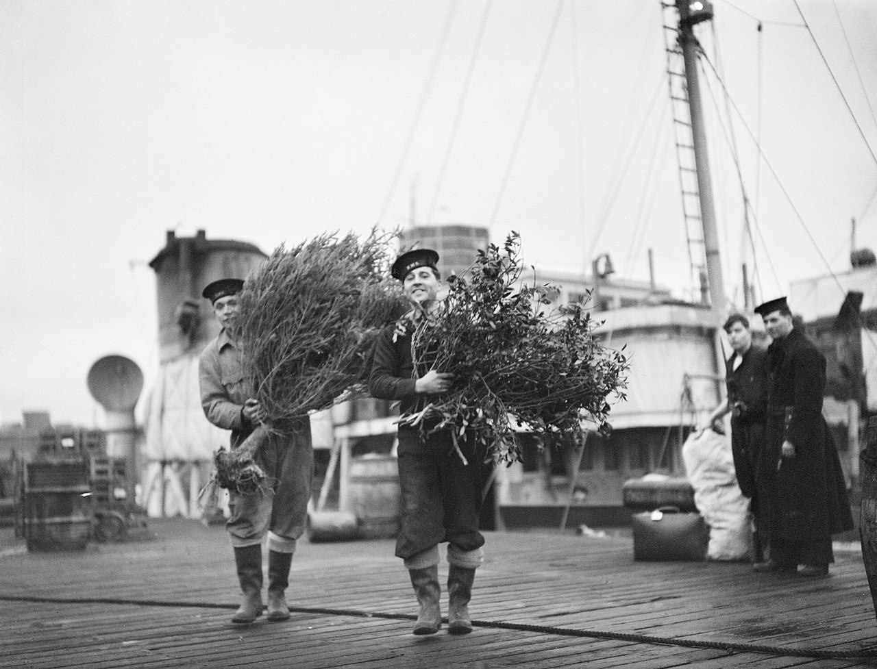 Sailors carrying the Christmas tree and holly for Christmas celebrations aboard a British ship, 1941.