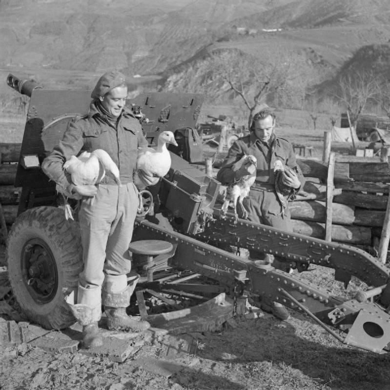 Gunners with geese and turkeys for the Christmas pot, Italy, 1944.
