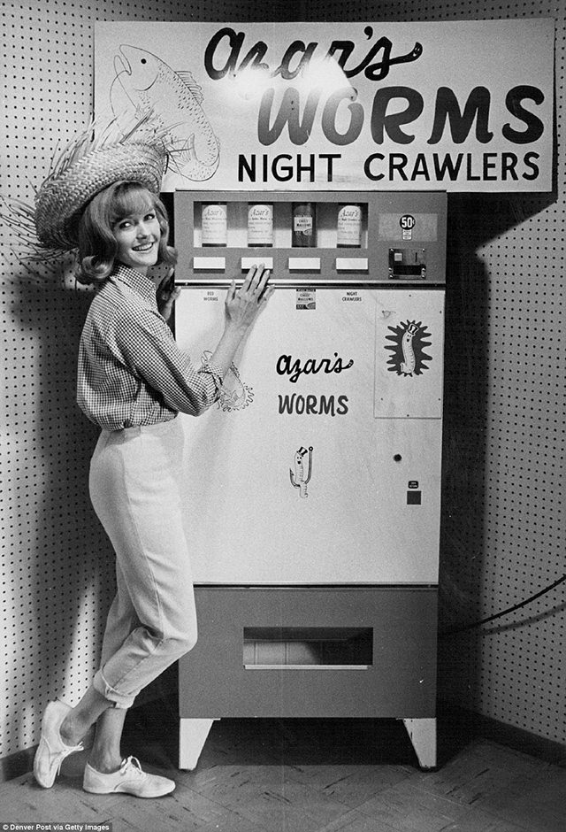 Coffee is one thing but creepy crawlies? This temperature-controlled machine sells worms to be used as bait for fishing at 50 cents a tub, 1965.