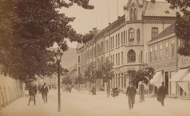50+ Historical Photos Show How Trondheim Looked Like In 1893
