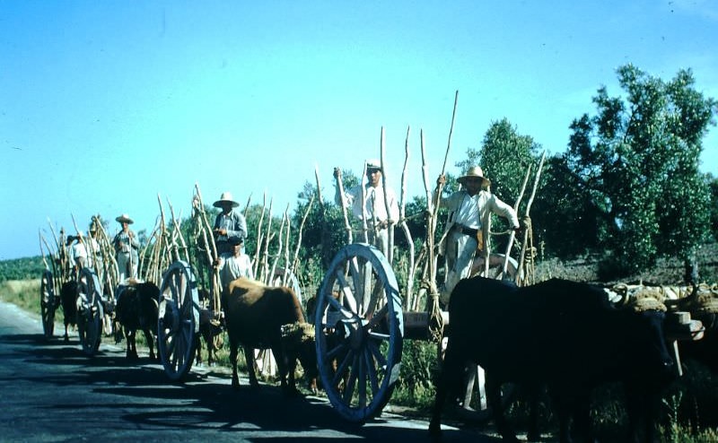 1950s Spain: 50+ Fabulous Photos Capturing Cities, Streets And Everyday Life
