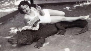 people hanging out with alligators