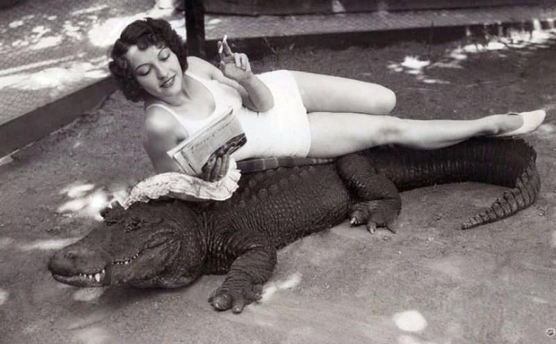 people hanging out with alligators