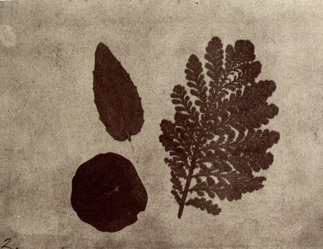First photograph of an object, 1840