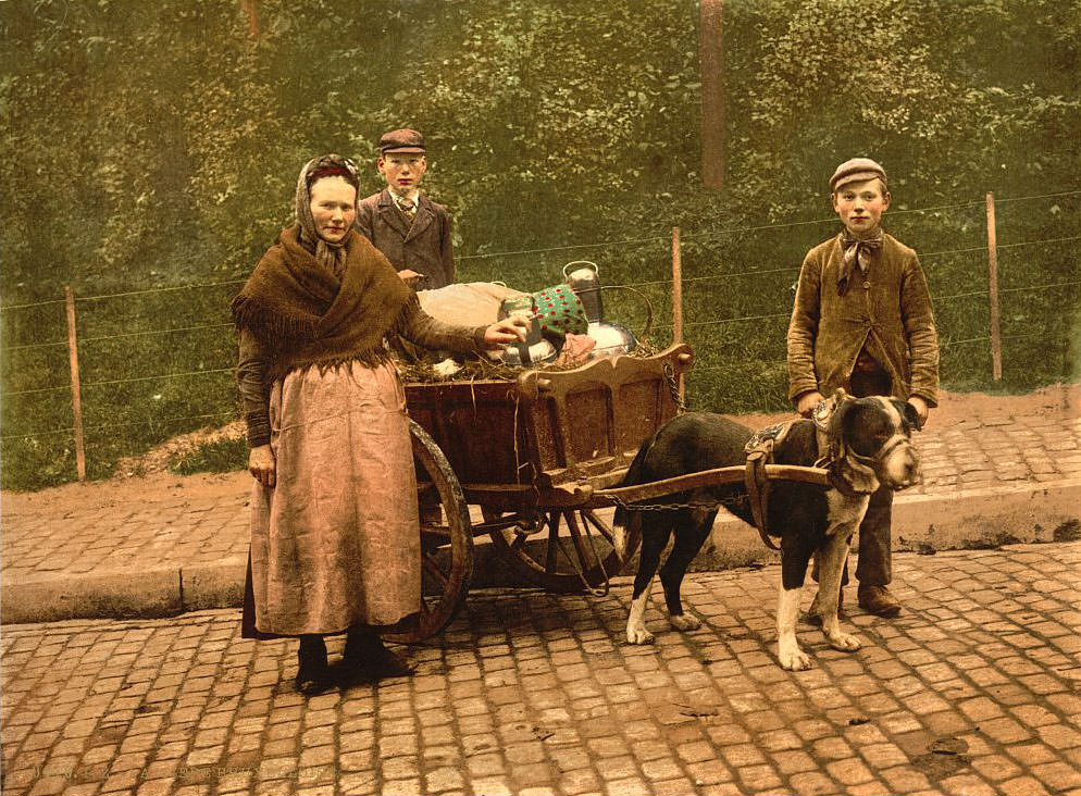 Milk Sellers, Brussels, 1890s