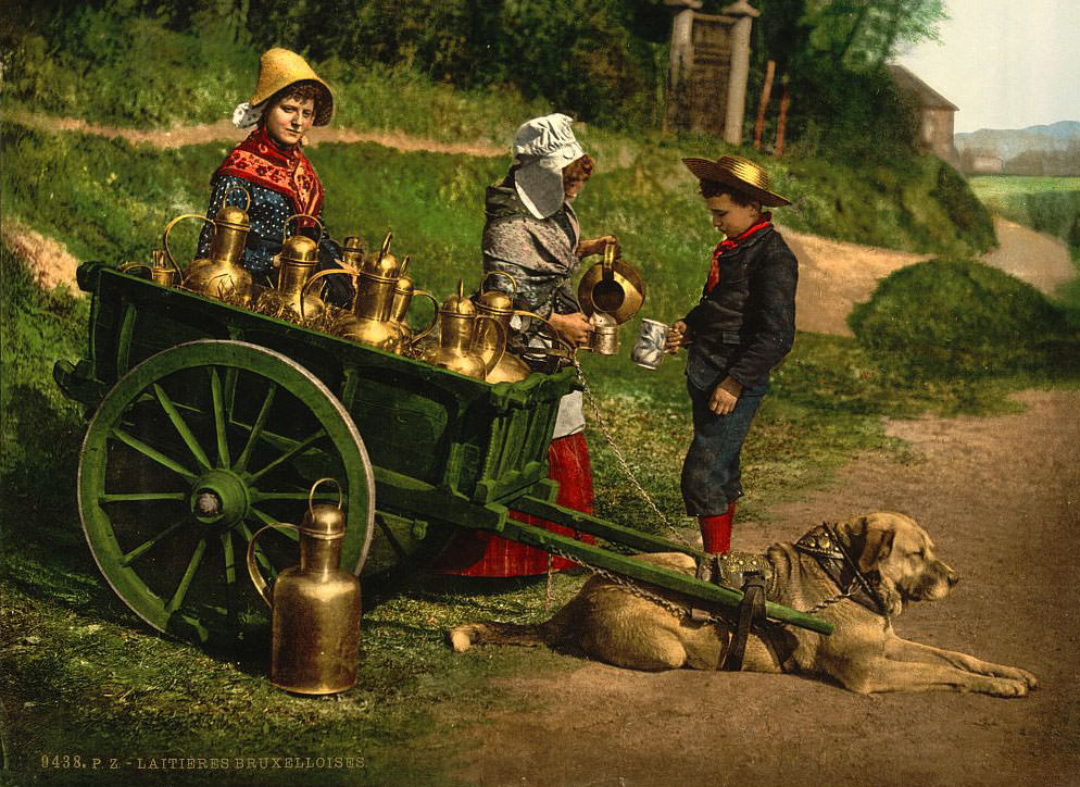Milk Sellers, Brussels, 1890s