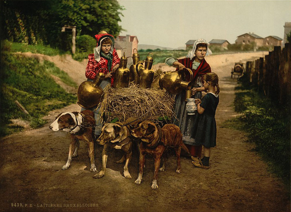 Milk Sellers, Brussels, 1890s