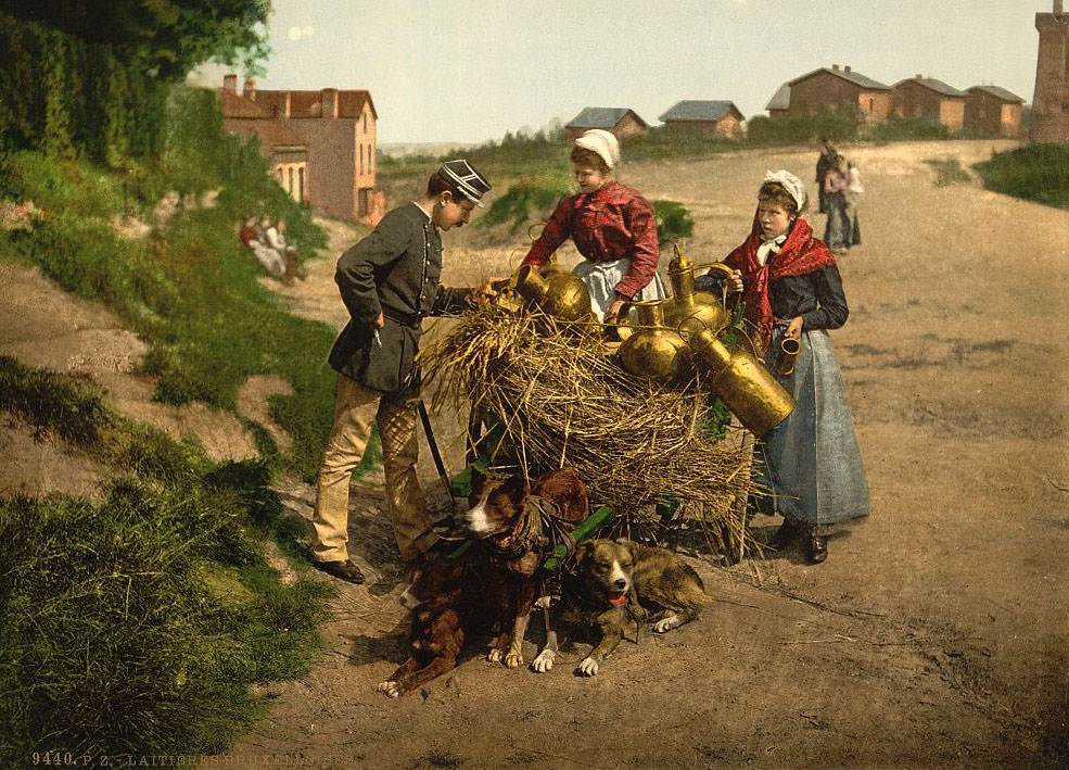 Milk Sellers, Brussels, 1890s