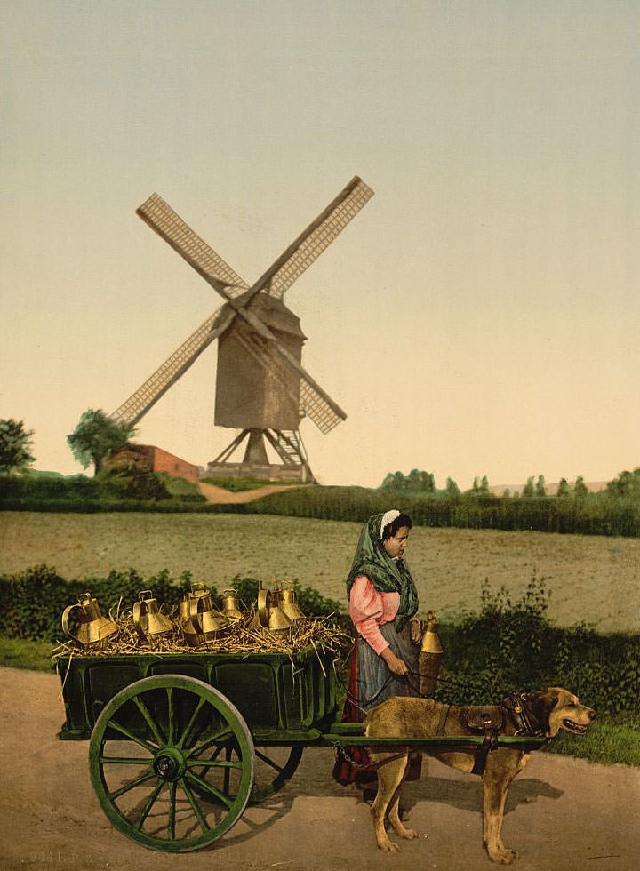 Milk Sellers, Brussels, 1890s