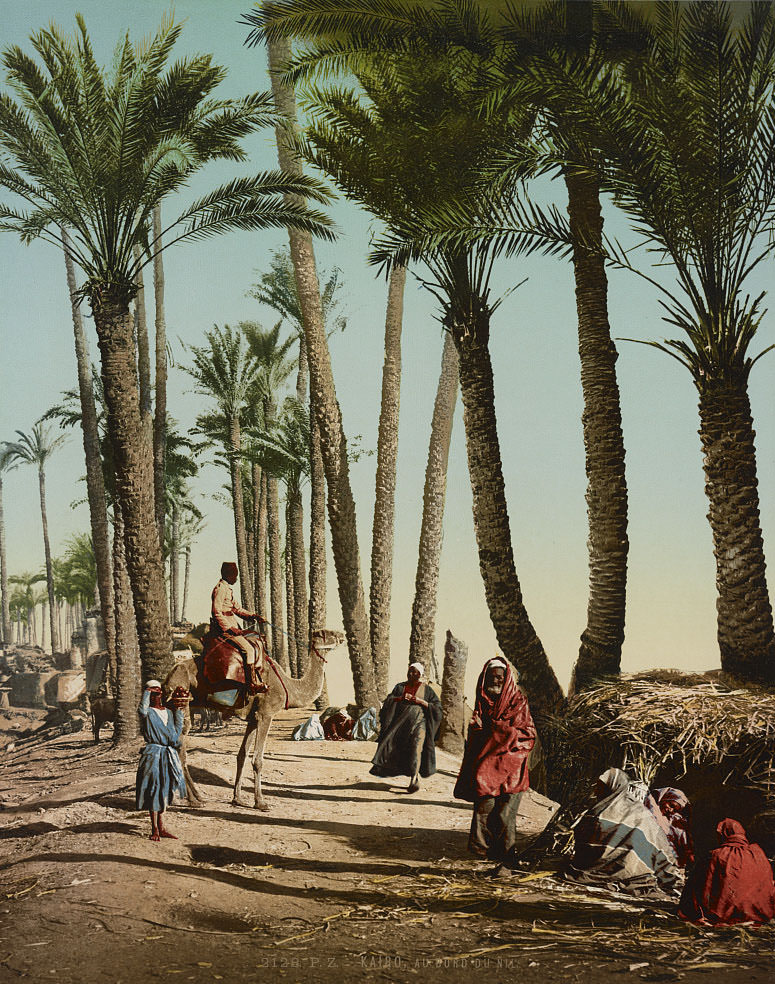 Nile, Cairo, 1890s