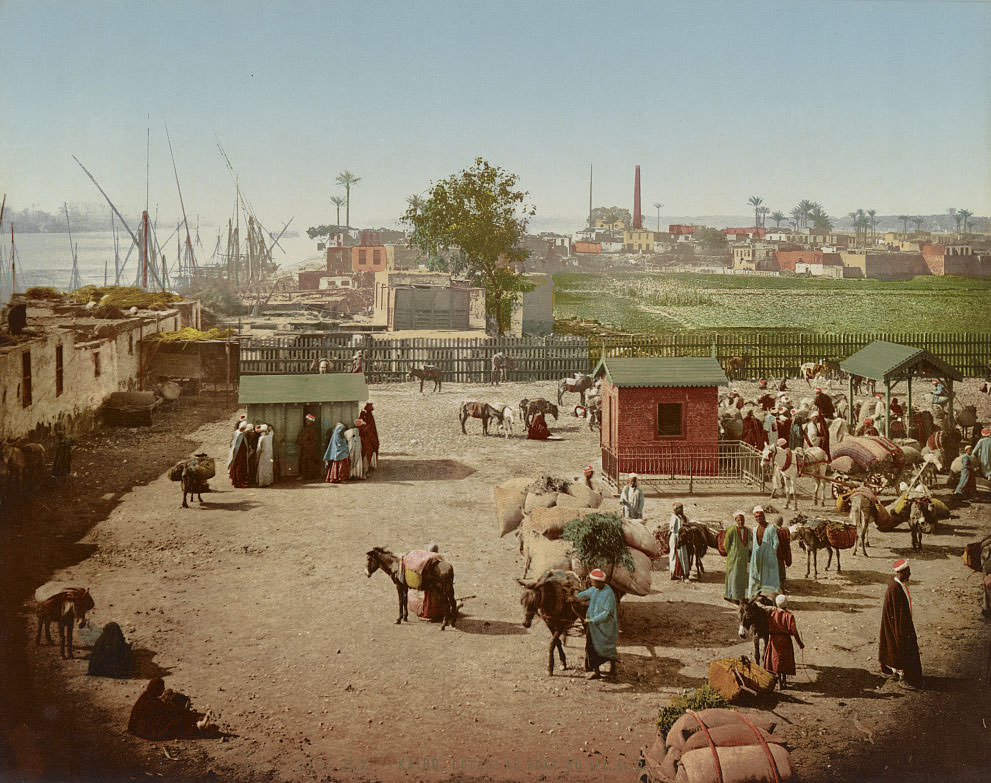 Nile, Cairo, 1890s