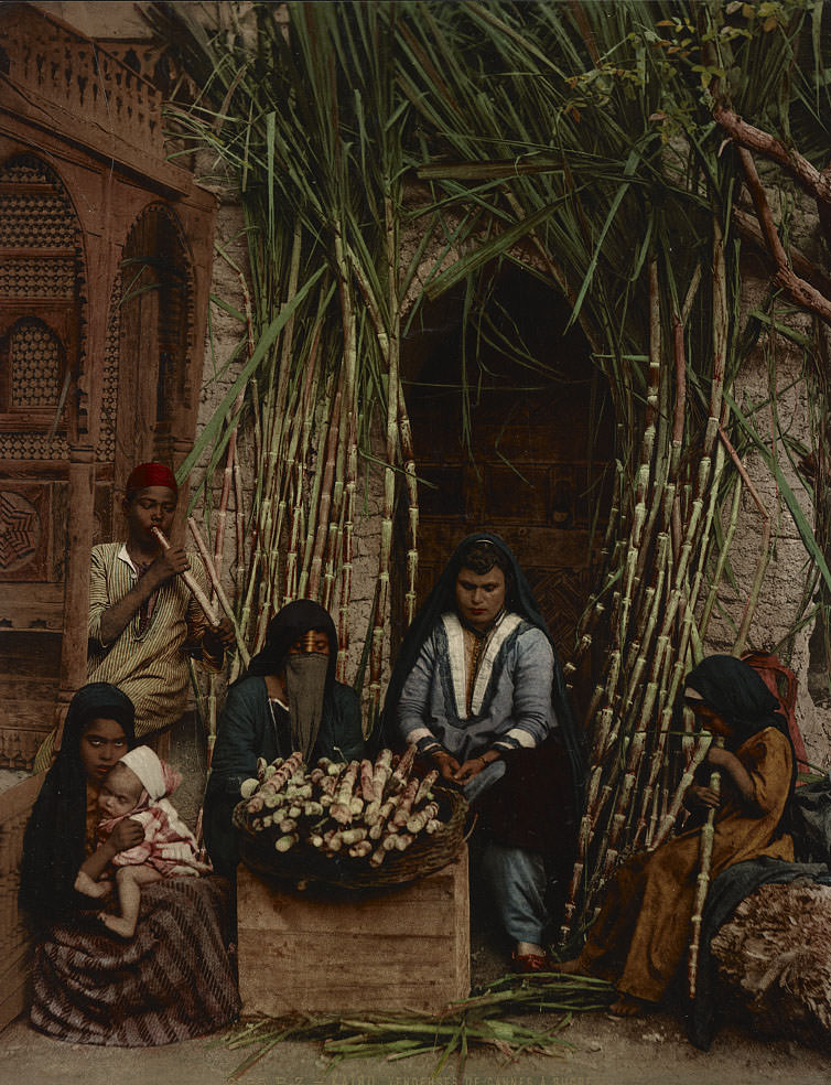 Sugar cane sellers, Cairo, 1890s