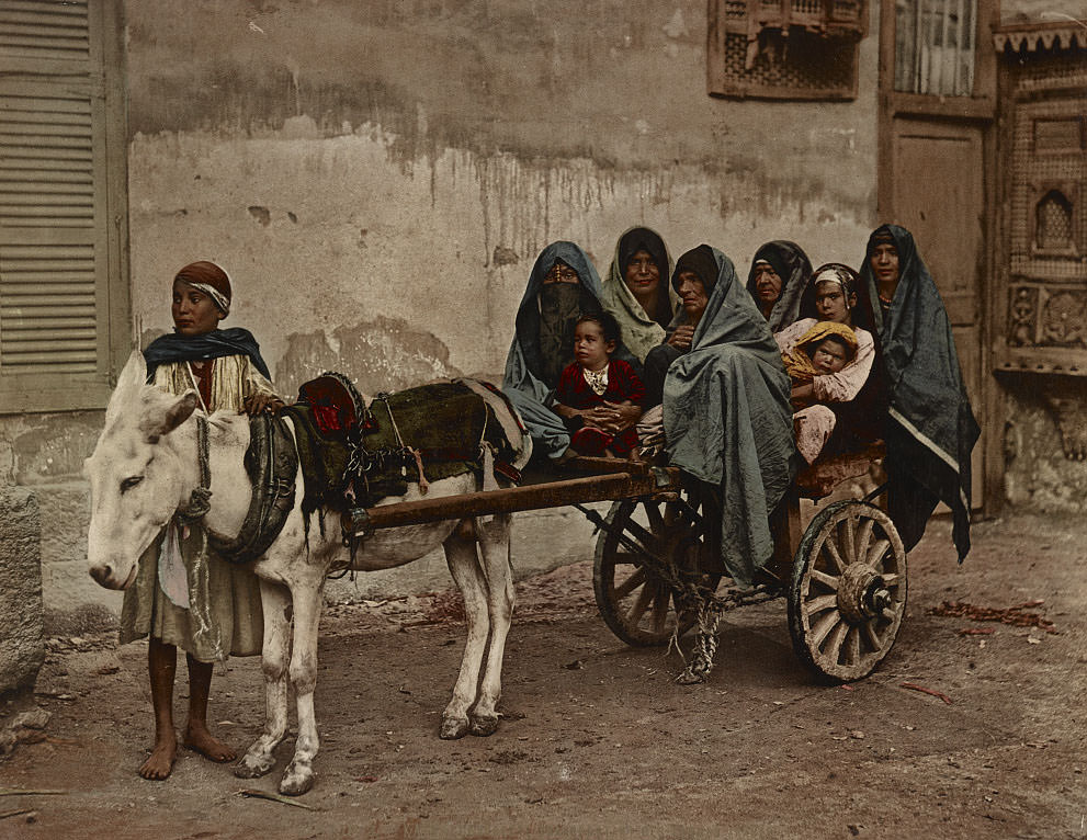 Cart carrying Arab women, Cairo, 1890s