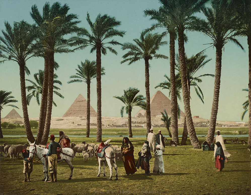The pyramids, Cairo, 1890s