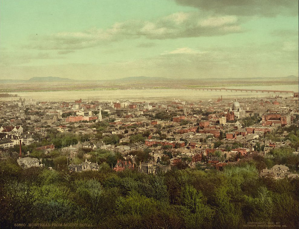 Montreal from Mount Royal