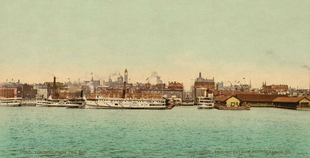 Toronto from the bay