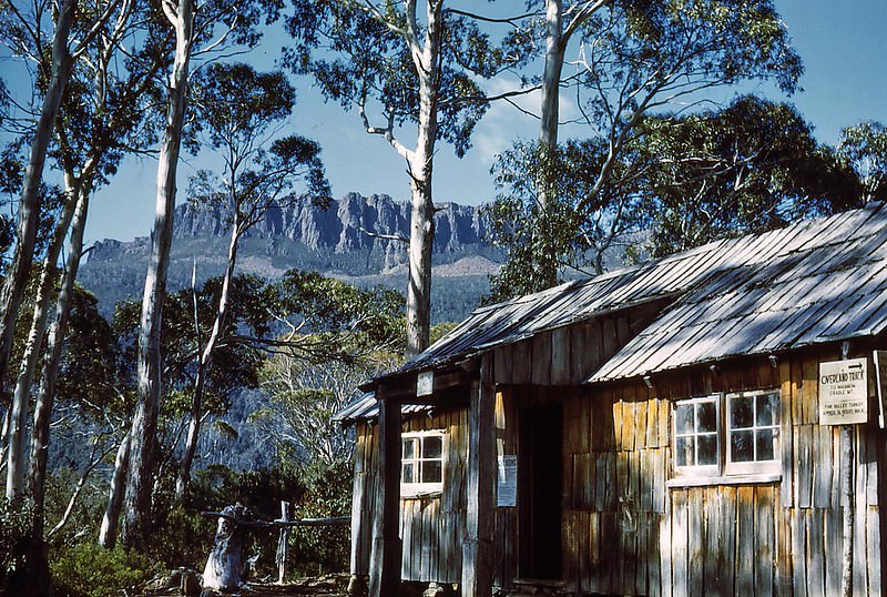 Narcissus Hut, Tasmania, December 1952