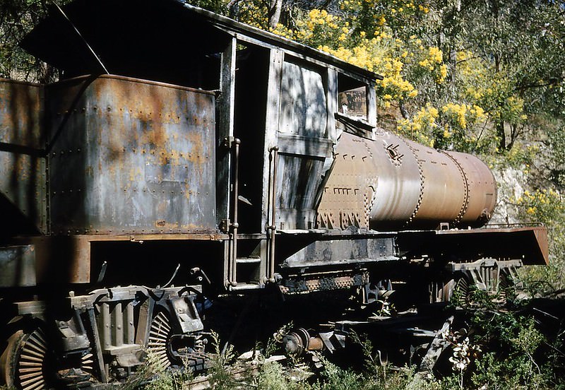 Newnes, a former shale oil mining area, in the Blue Mountains, had quite a lot of metal items such as this train, New South Wales, August 1953
