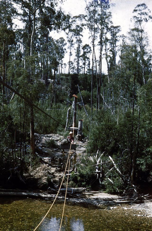 Crossing the Franklin River, Tasmania, January 1953