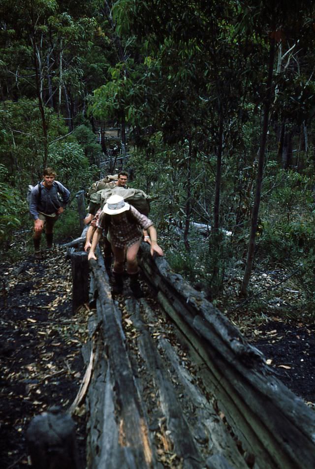 Bushwalkers climbing old coal chute near RedLedge Pass, New South Wales, April 1954