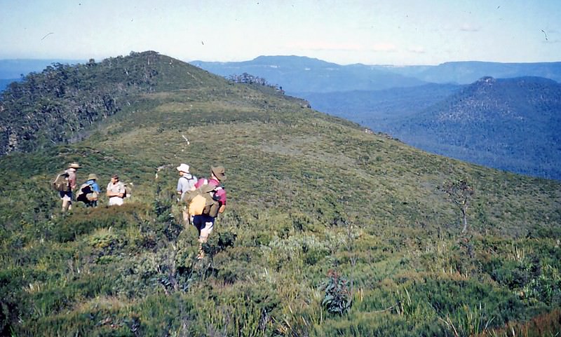 Clear Hill, New South Wales, 1954