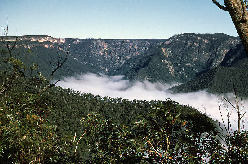 Kanangra Deep, New South Wales, 1952