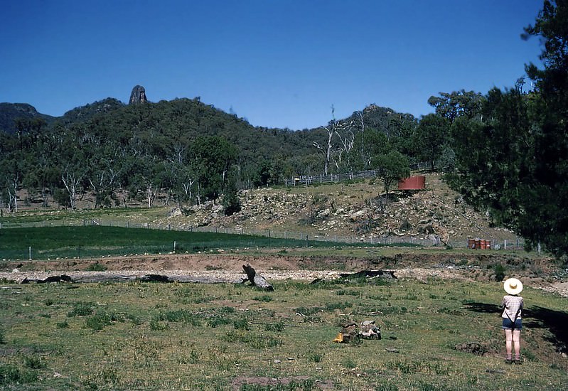 Pinchams Farm, New South Wales, October 1954