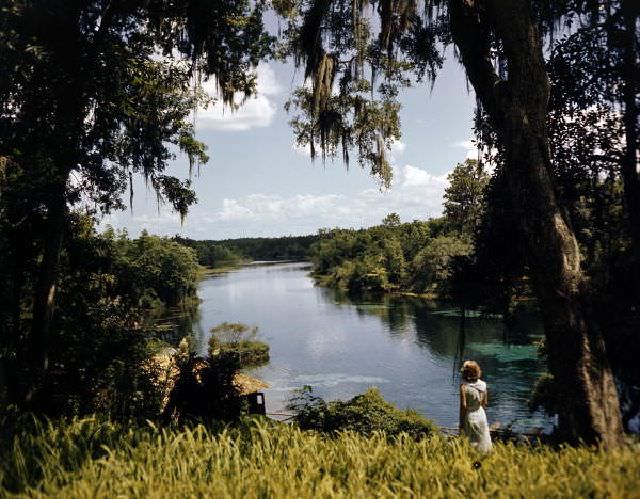 Rainbow Springs near Dunnellon, Florida, August 21, 1950