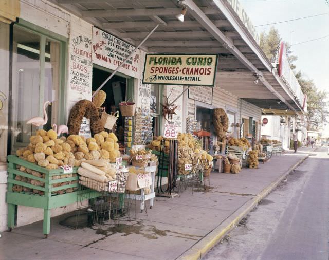 Sponges on display in front of the Florida Curio gift shop in Tarpon Springs, circa 1955