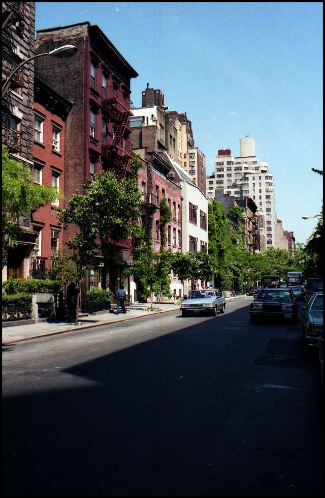 Tribeca (Triangle Below Canal Street), Downtown