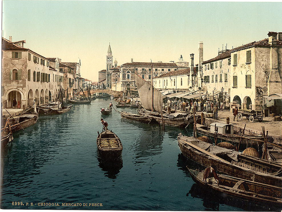 Fish market, Chioggia