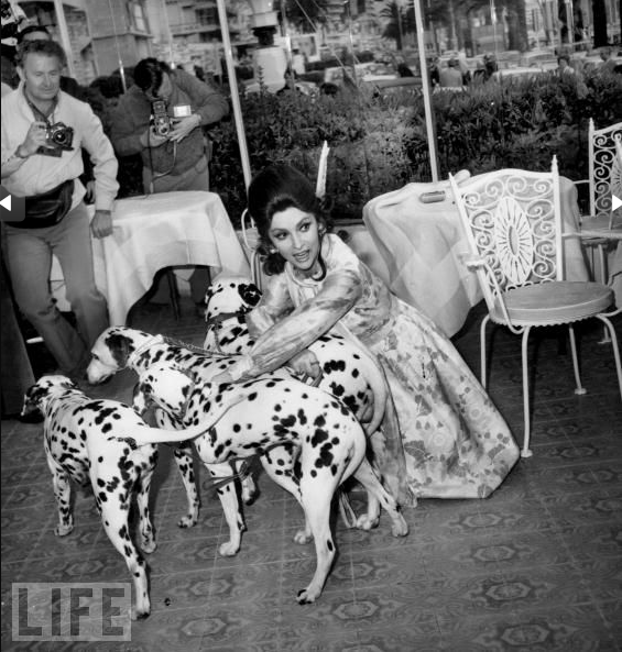 Gina Lollobrigida arrives in a dress that kind of matches her three dogs on May 17, 1972. She was there to promote "King, Queen, Knave," the film adaptation of the Vladimir Nabokov novel.