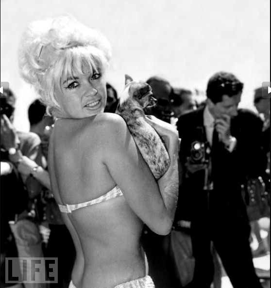 Jayne Mansfield strolls on the beach with her chihuahua on May 11, 1964. The year before, Mansfield had become the first mainstream American actress to appear nude in a film, in "Promises! Promises!"