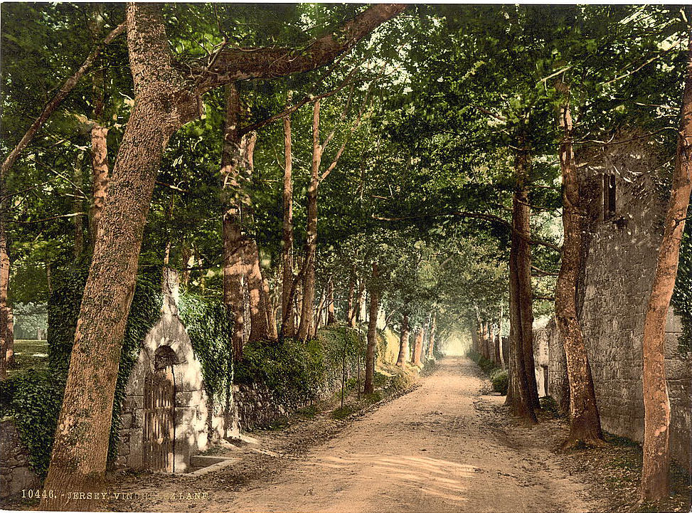 Vinchelez Lane, Jersey