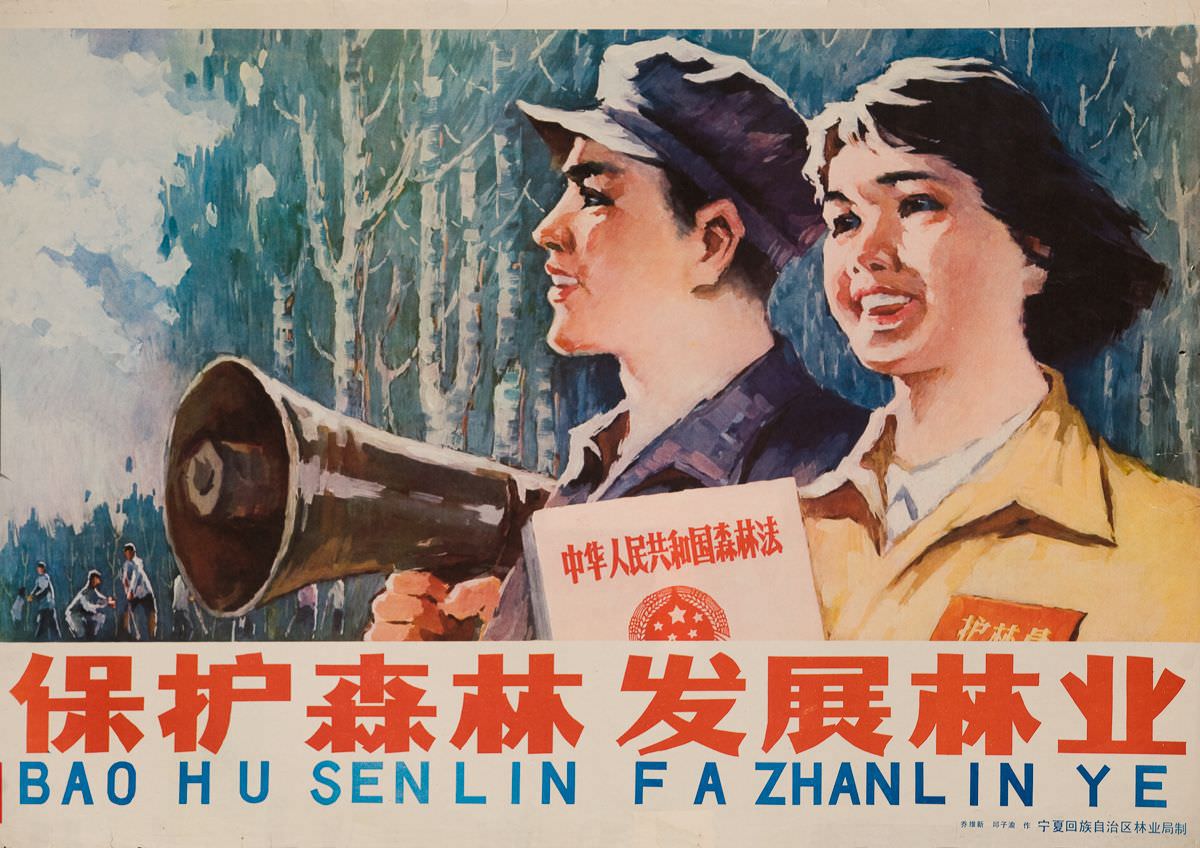 Protect the Forest,1970