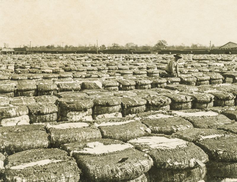 Cotton mill stored bales, Greenville, Texas