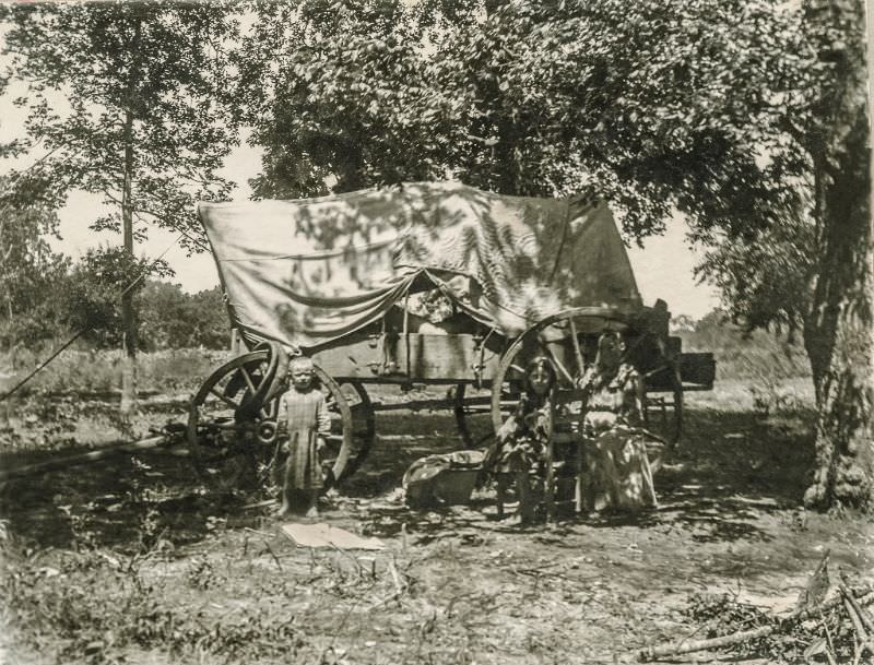 Covered wagon, Greenville, Texas