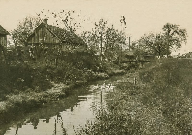 Girl and ducks, Greenville, Texas