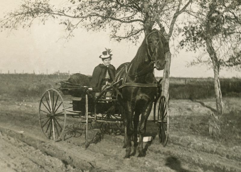 Lady on wagon, Greenville, Texas