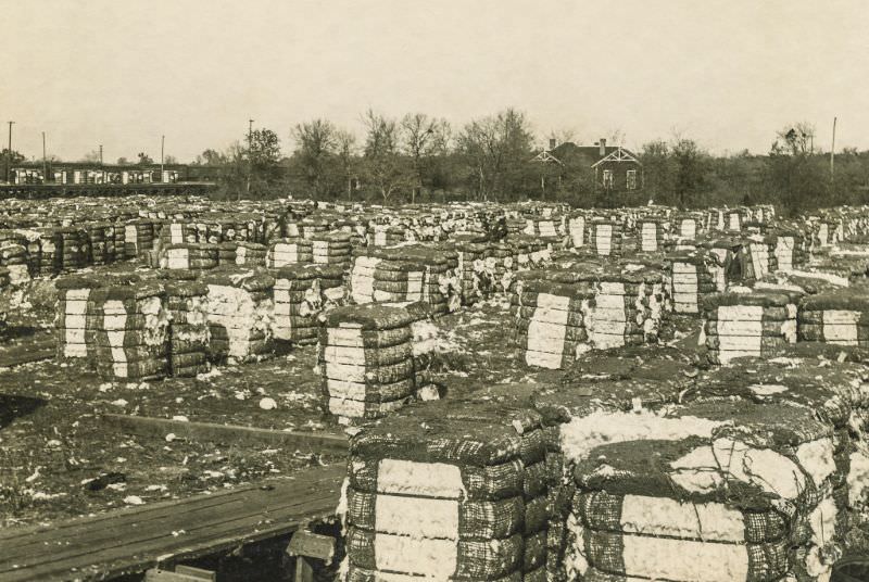 Men working at cotton mill, Greenville, Texas