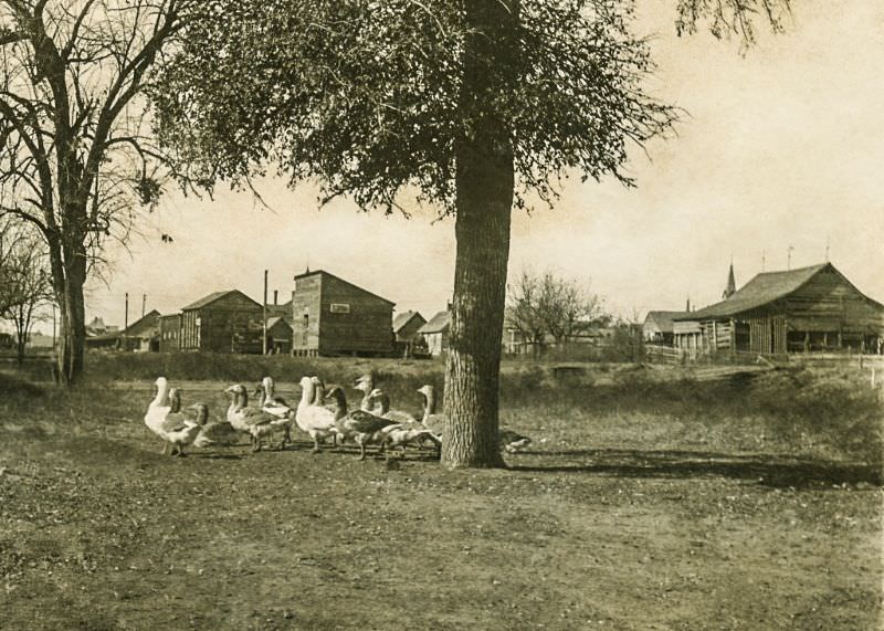 Outskirts of Greenville, Texas