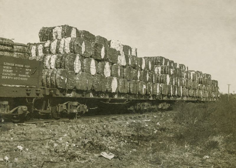 Rail cars with cotton, Greenville, Texas